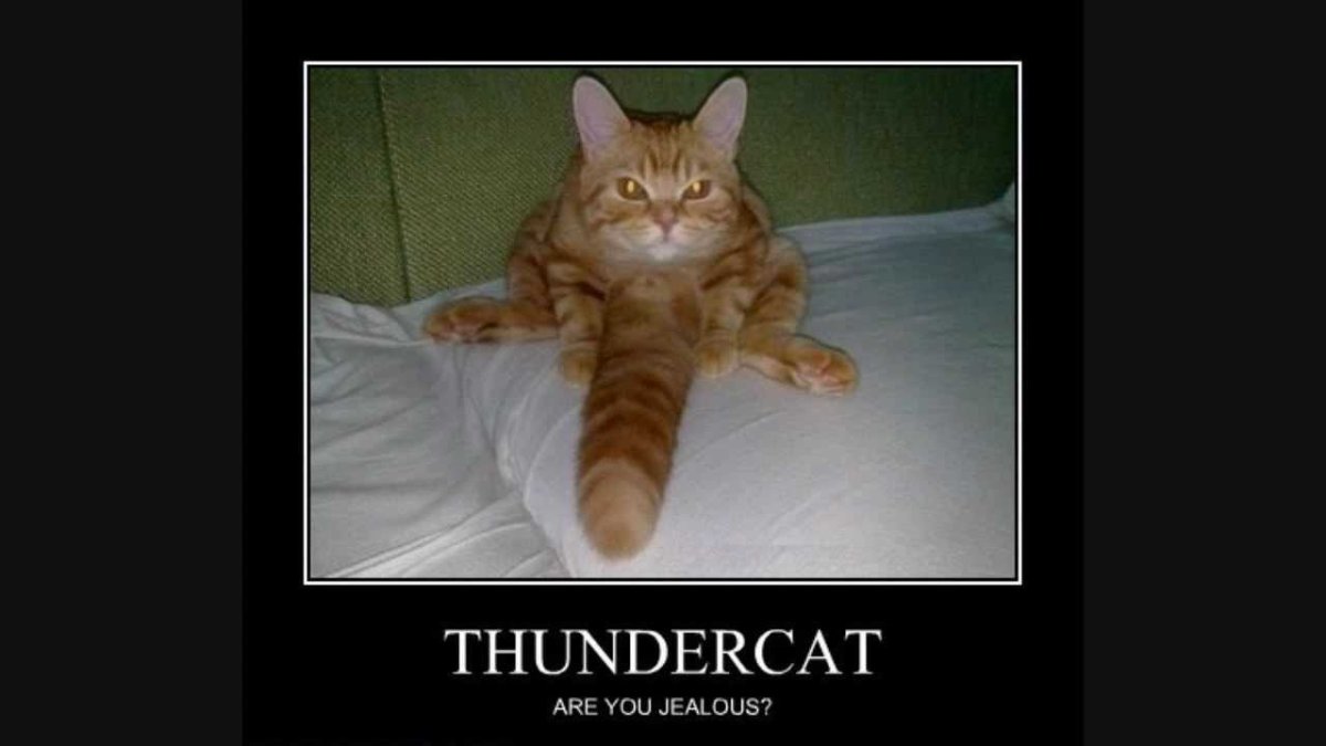 Демотиваторы про гламур