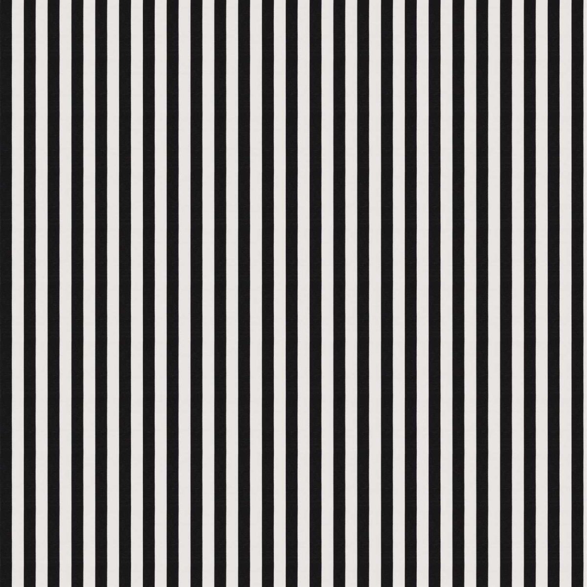 Полоска бумаги