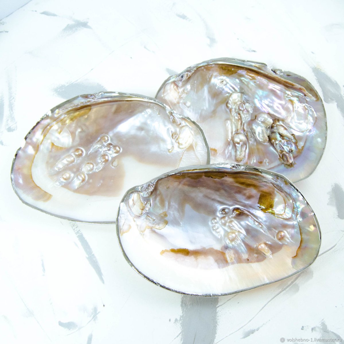 Макабебе Жемчужная