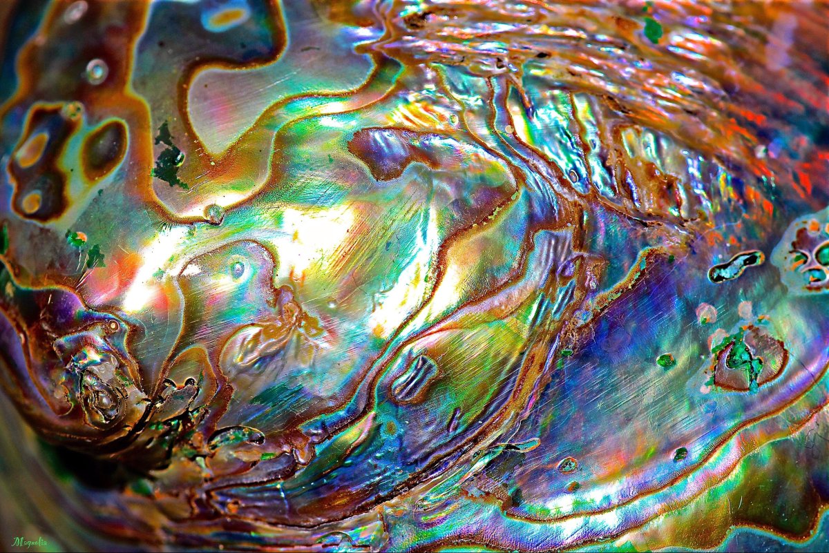 Перламутр текстура