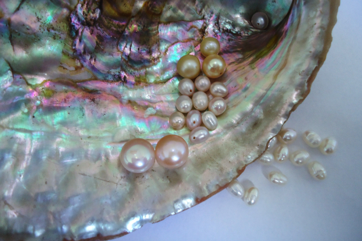 Жемчуг моллюска тридакны