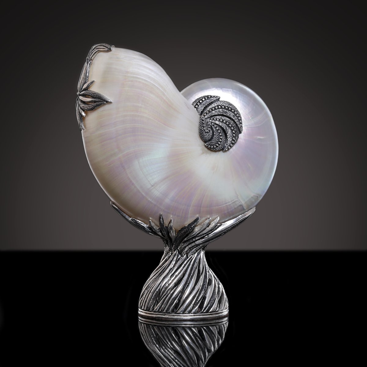 Наутилус референс