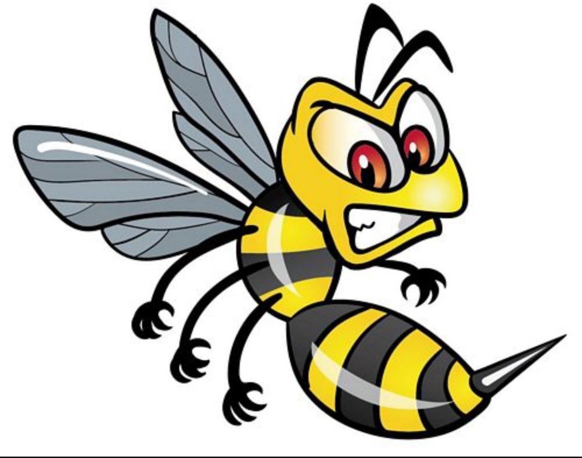 Оса для дошкольников