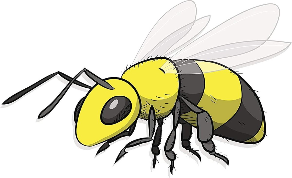 Пчелка на прозрачном фоне