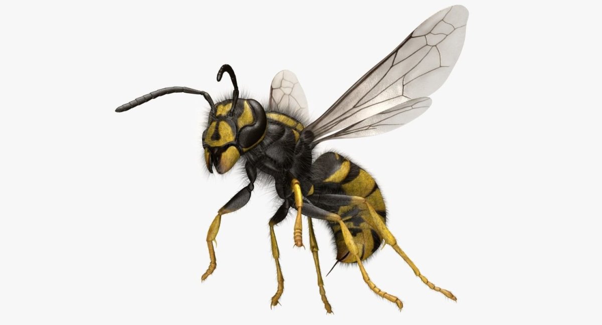 Злая Пчелка