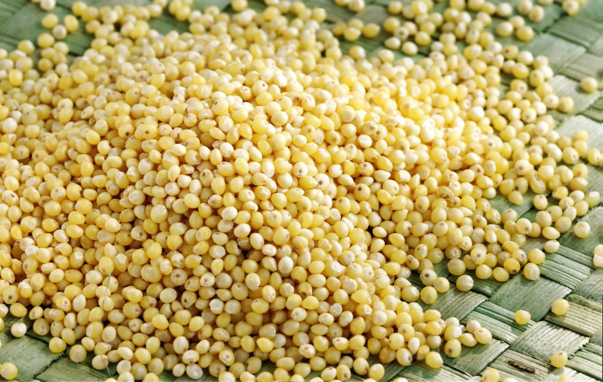 Пшено просо