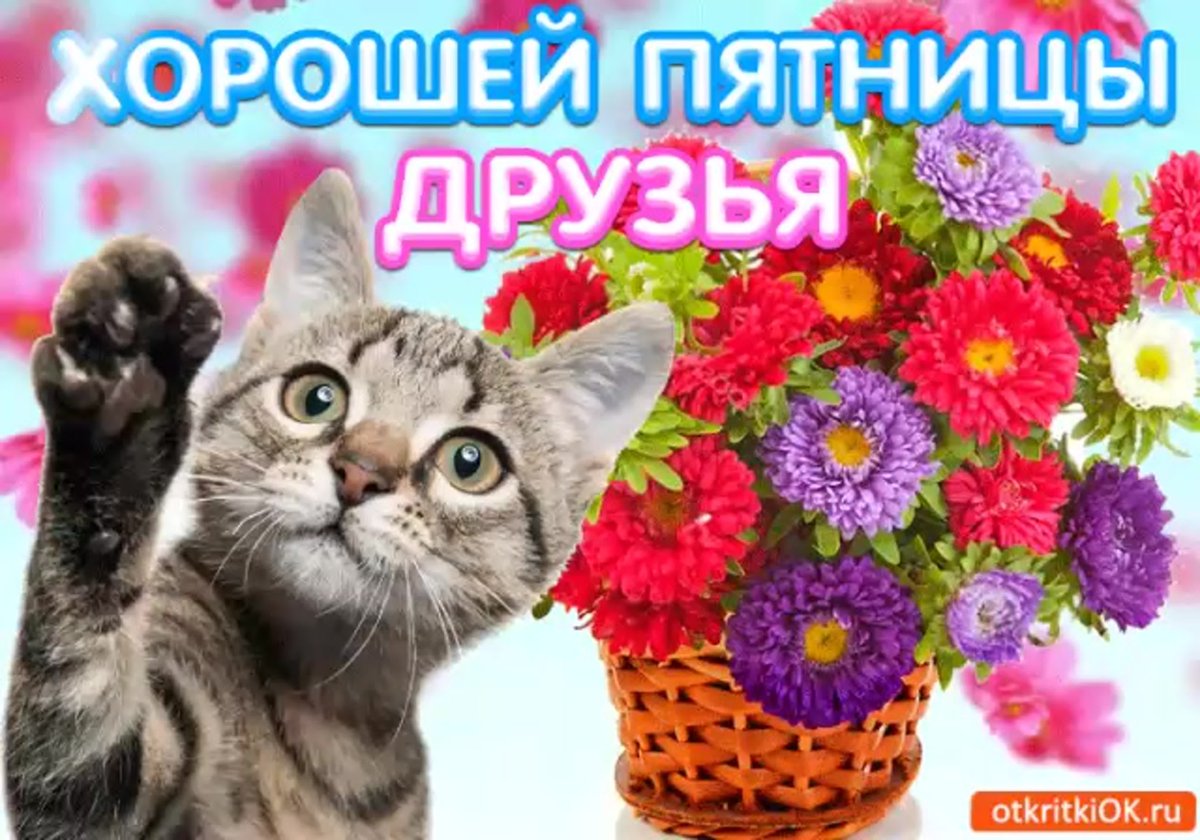 Открытки прекрасной пятницы