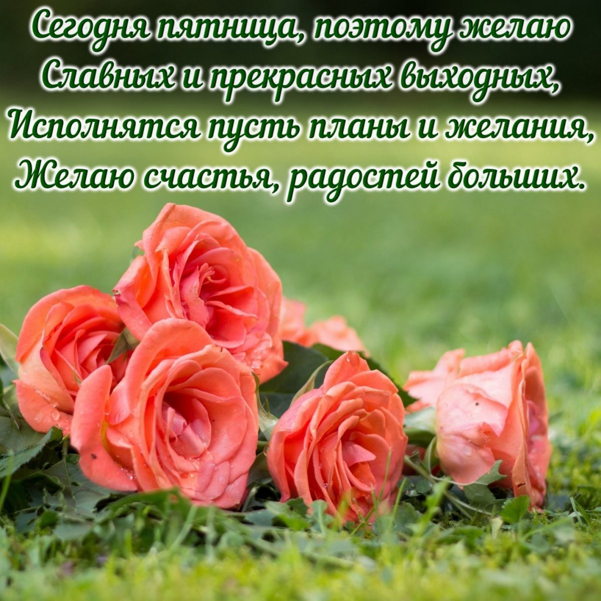 Открытки с пятницей