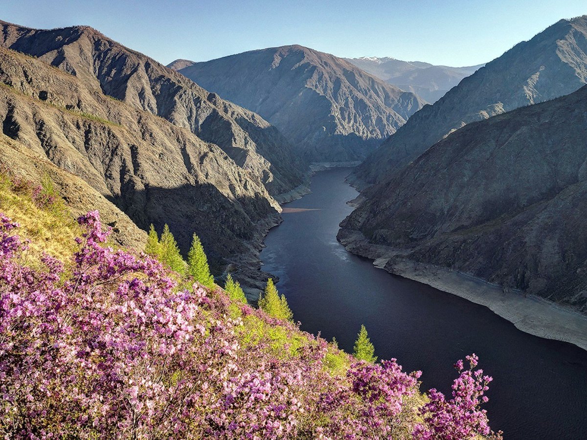 Енисей Саяно-Шушенский заповедник