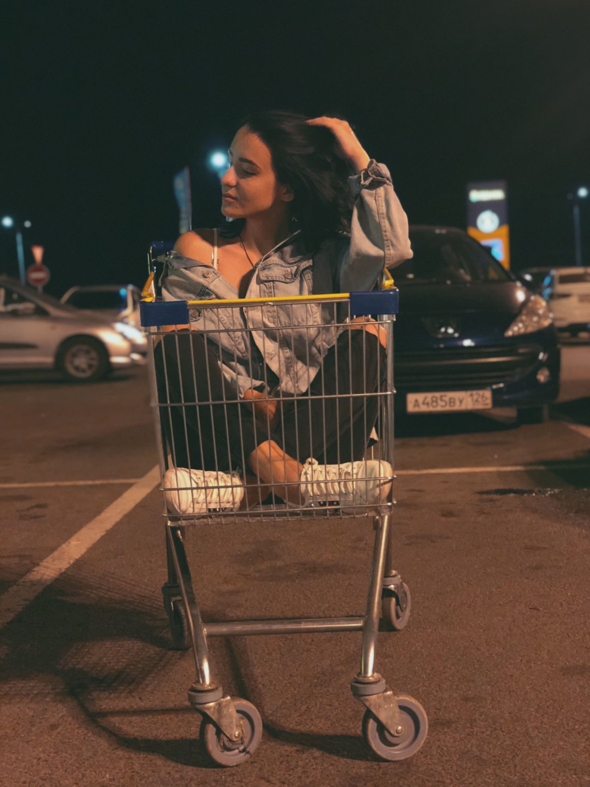 Древний грузинский телега