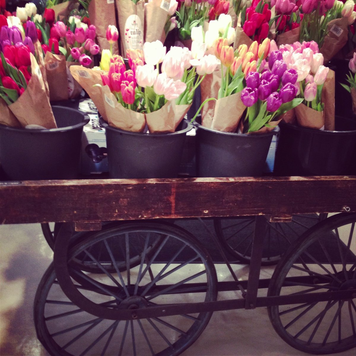 Цветы букеты в телеге