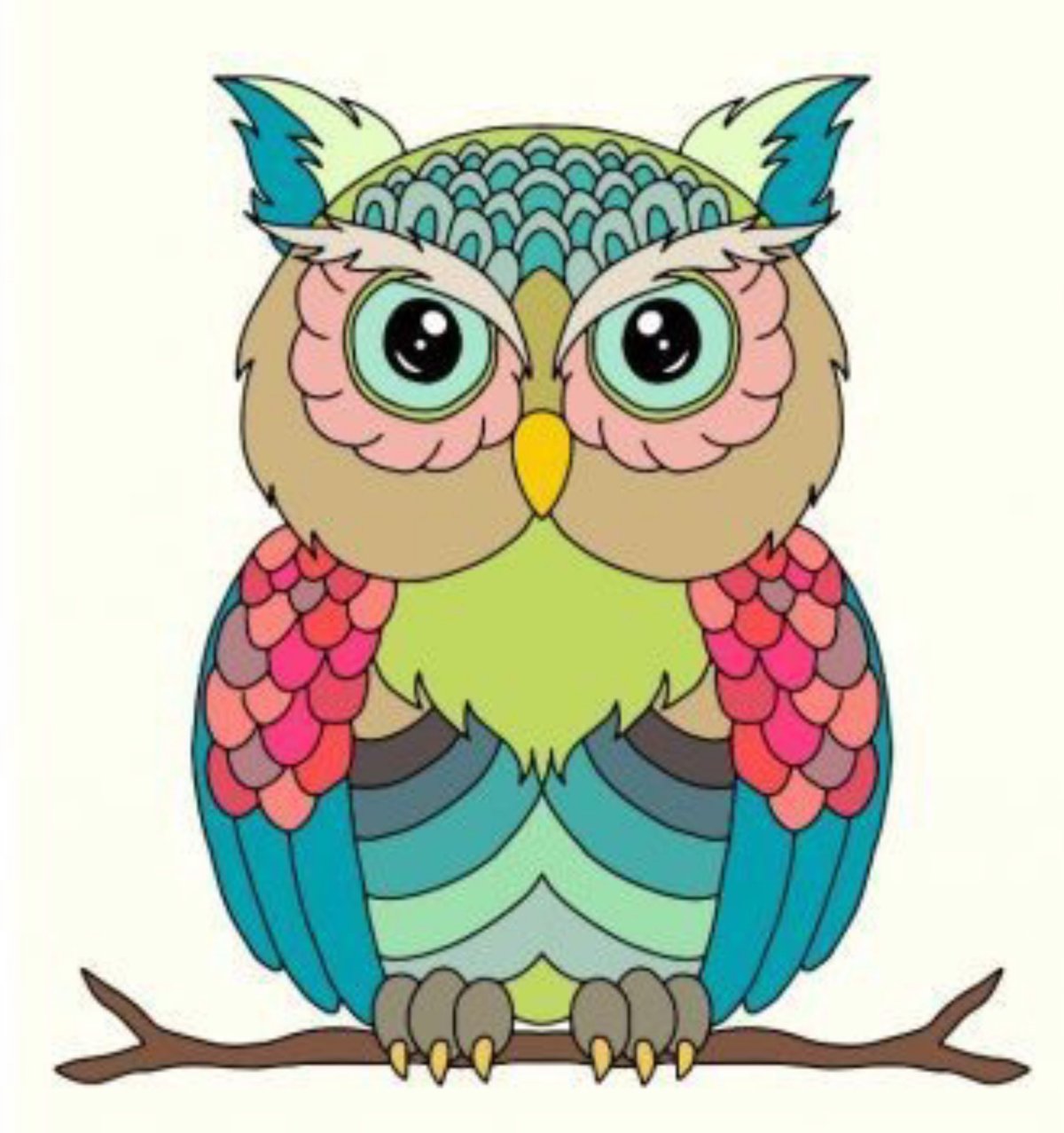 Филин раскраска цветная