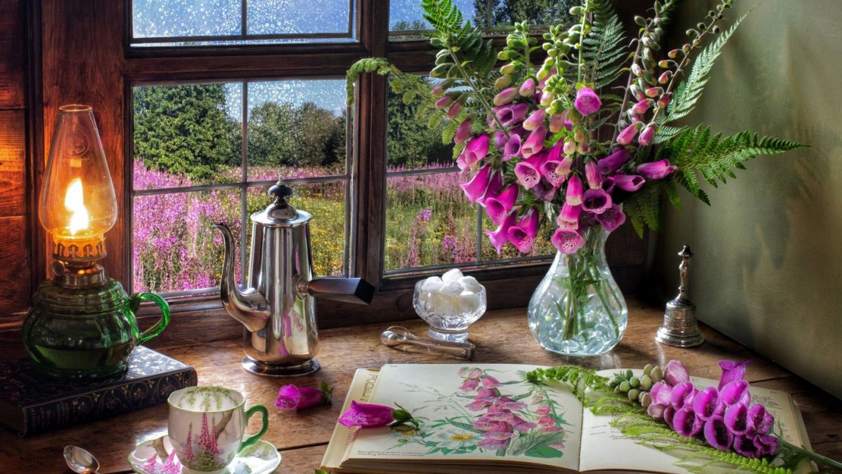 Красивые и уютные иллюстрации