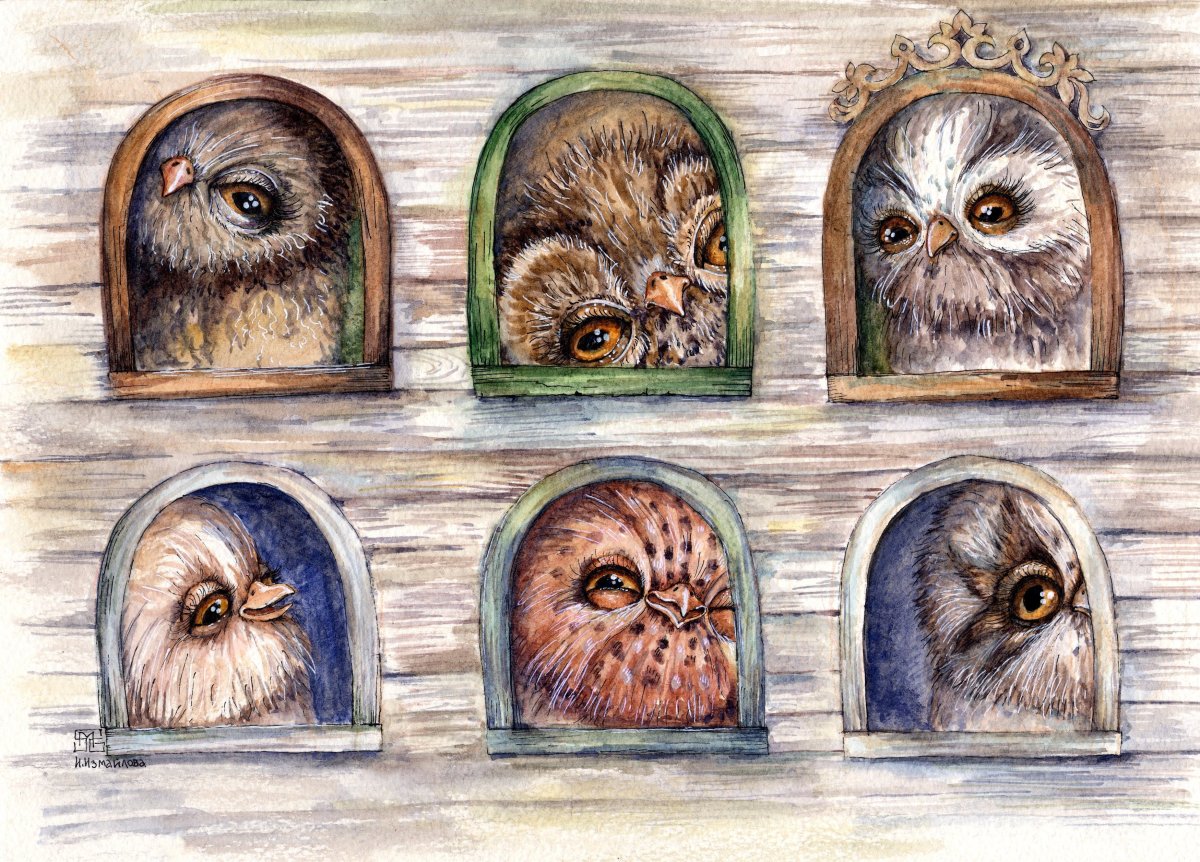 Сова в овале