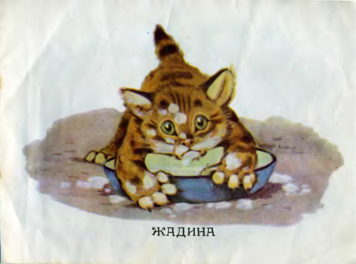 Котик жадина