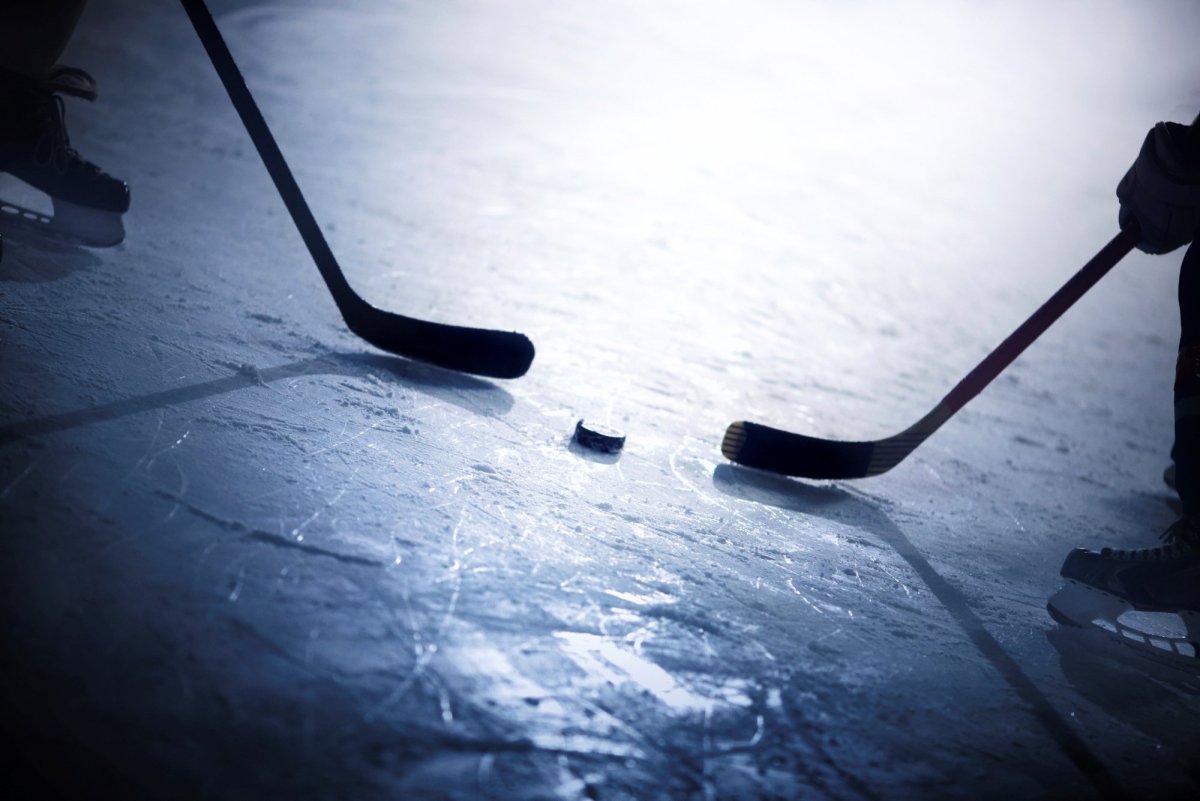 Хоккей с шайбой клюшка 2022