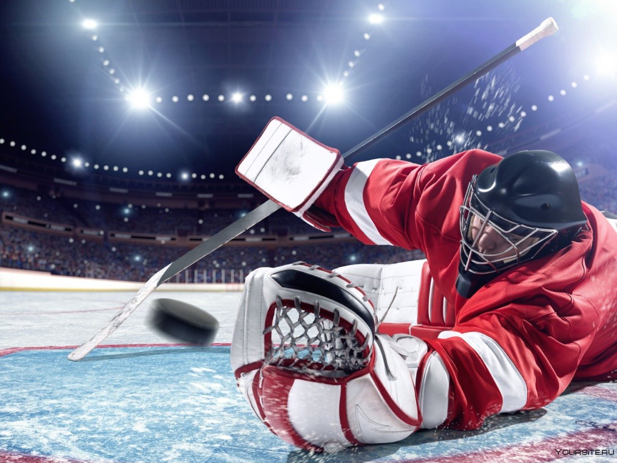 Шайба для хоккея