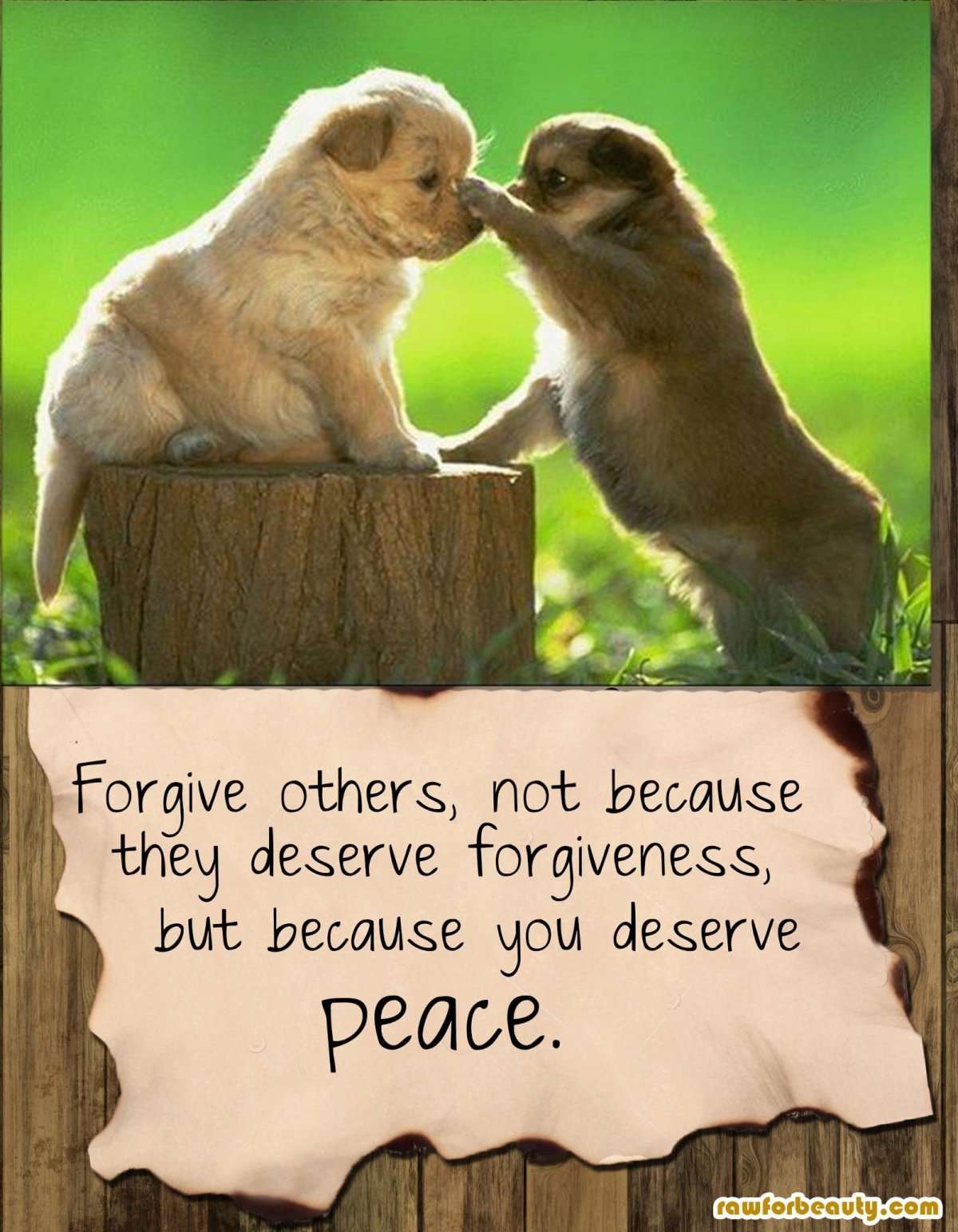 Открытка выше нос