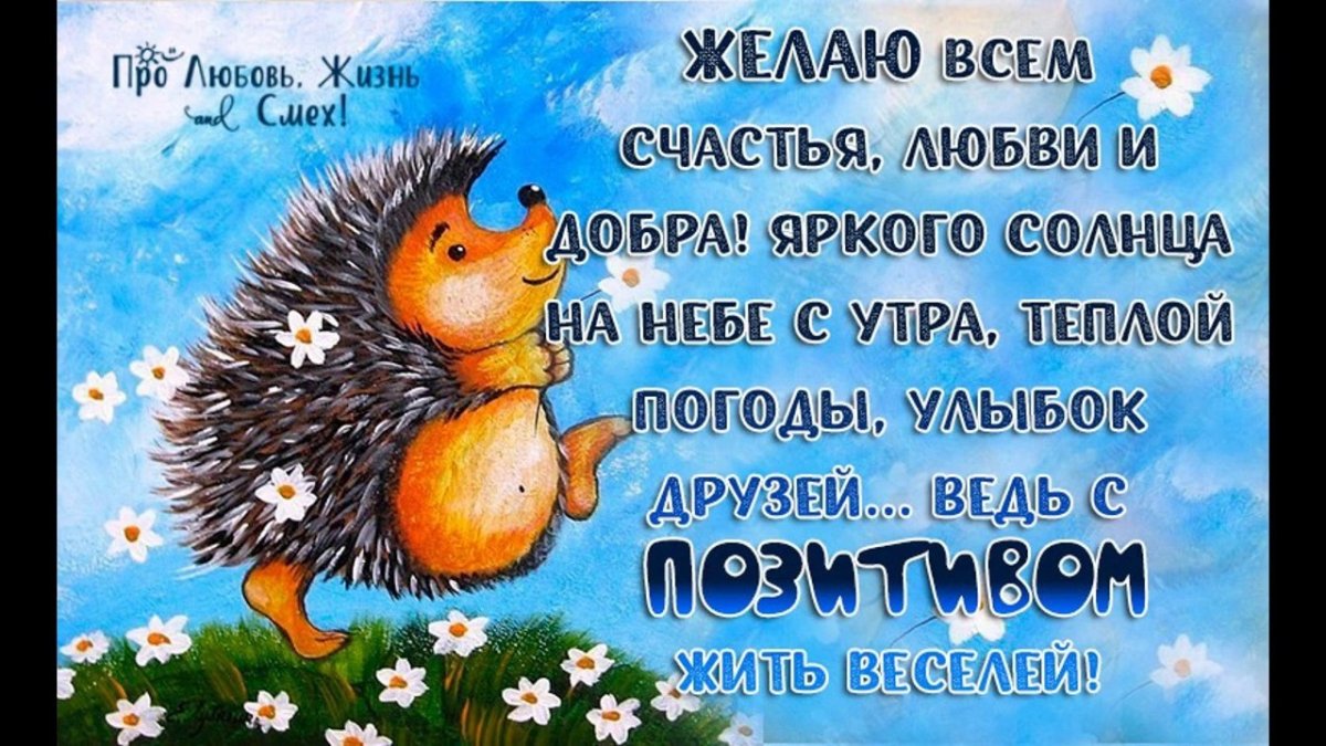 Лис и бабочка