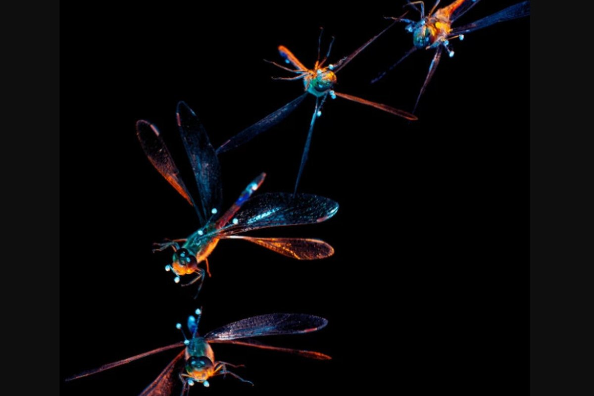 Хороших выходных картинки с вертолетом