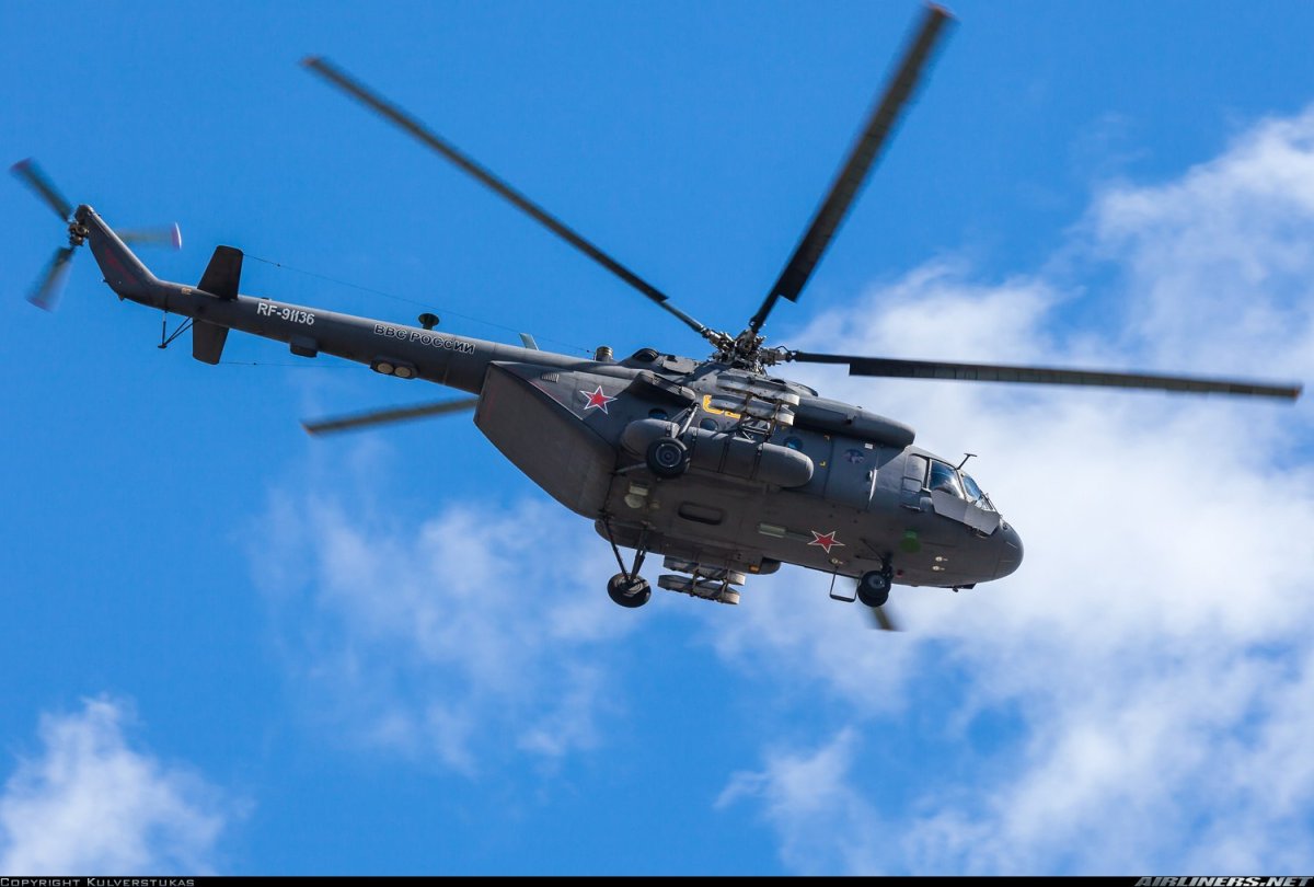 Стрекозы на репейнике Ильгиз