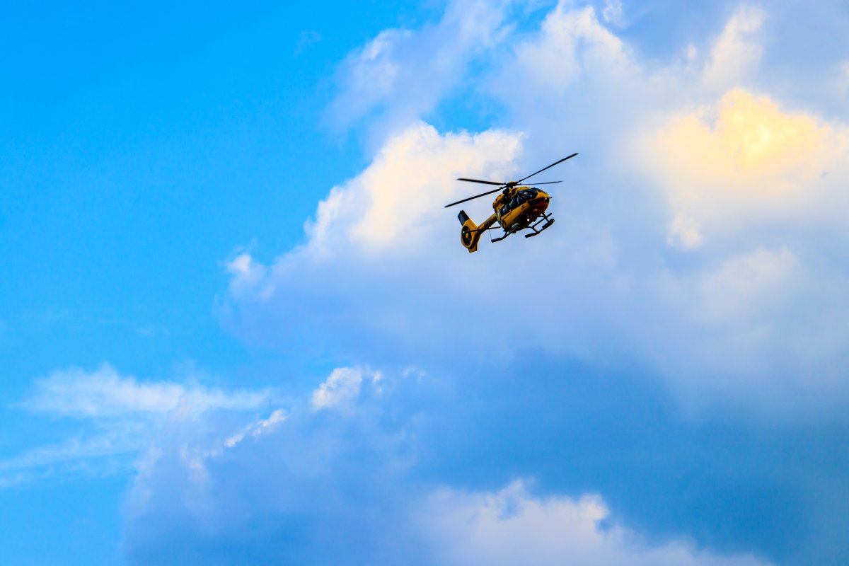 Самые красивые Стрекозы