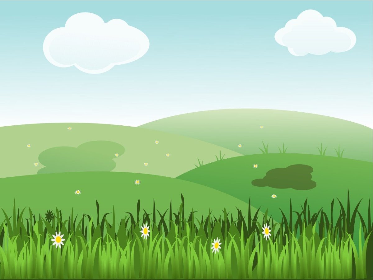 Мультяшная Поляна