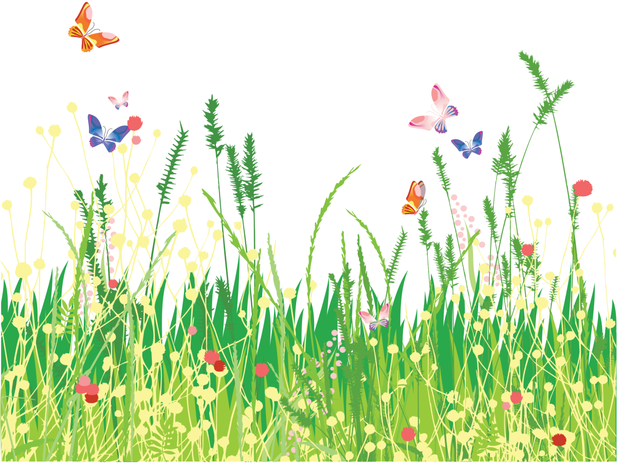 Трава с цветами на прозрачном фоне