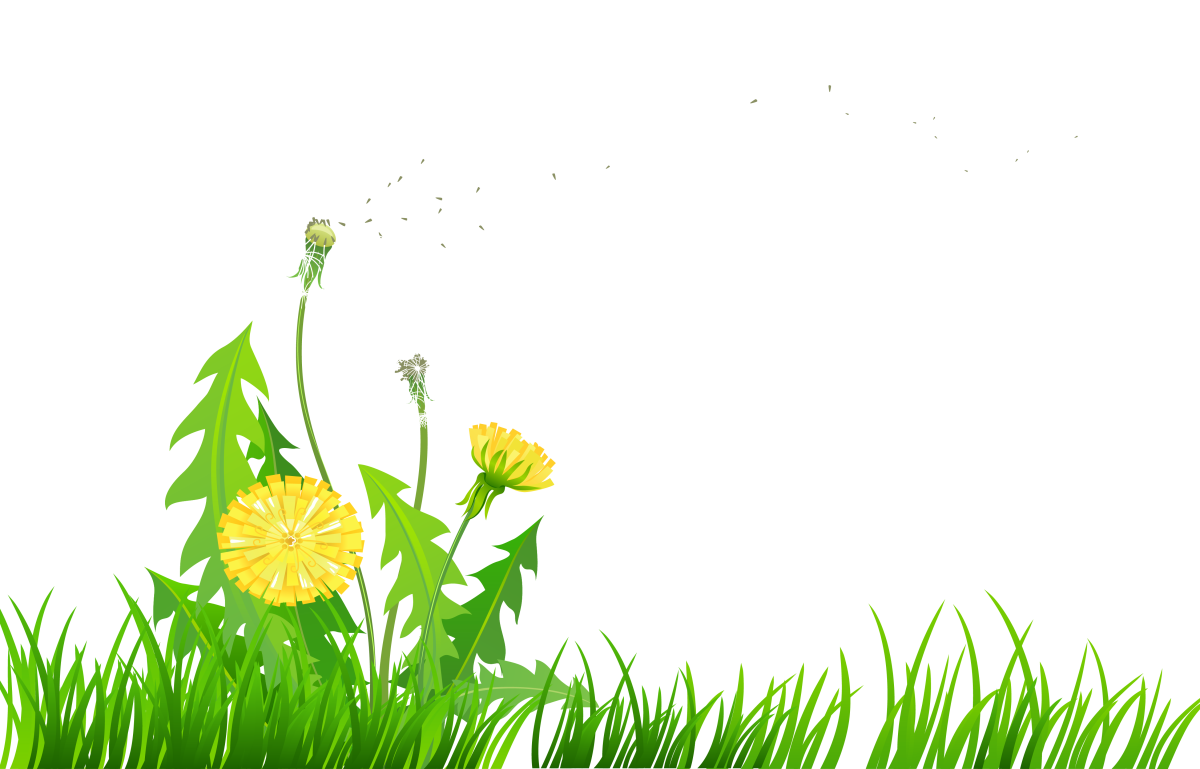 Луг на белом фоне