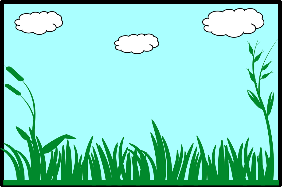 Летние фоны для скрапбукинга