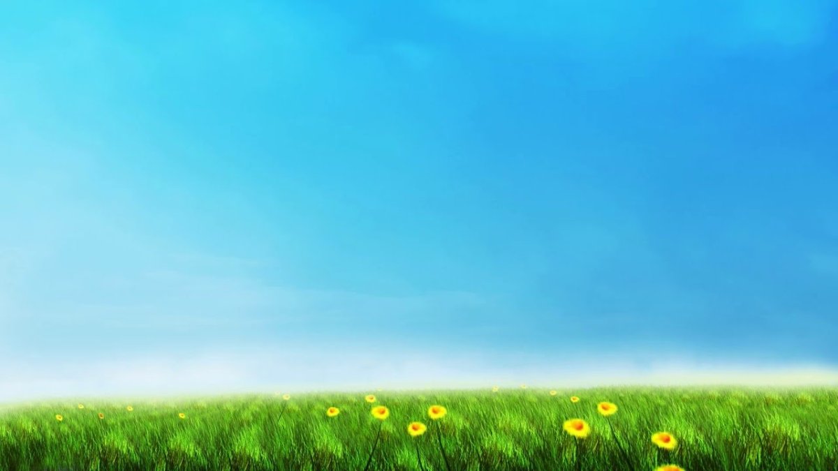 Цветочный луг