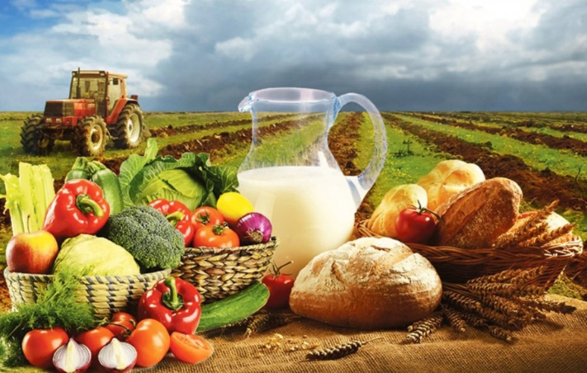 Сельского хозяйства и перерабатывающей промышленности