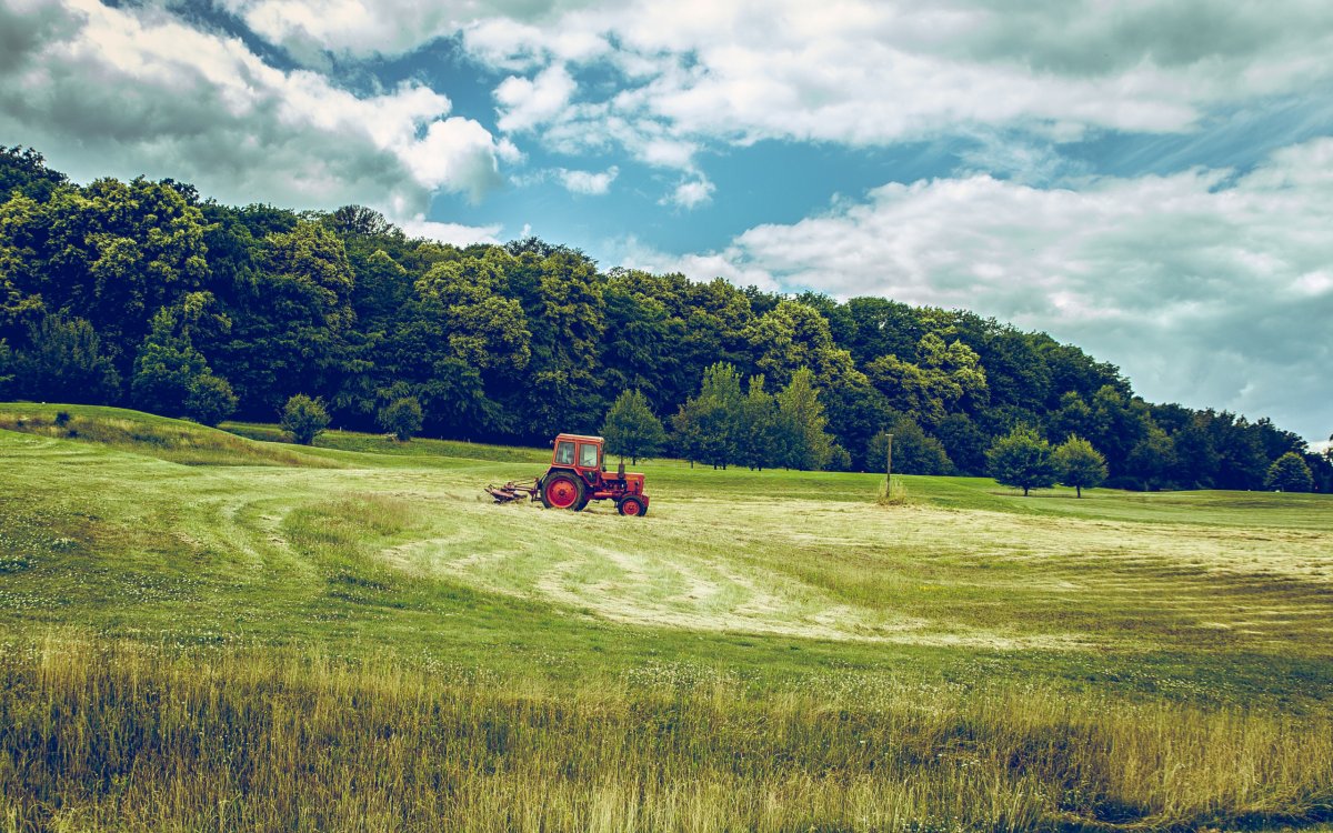 Трактор в поле