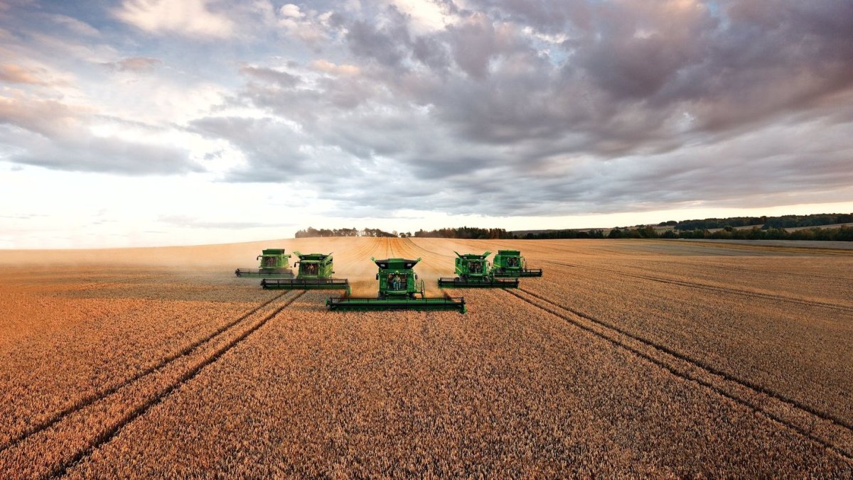 Джон Дир вид сверху