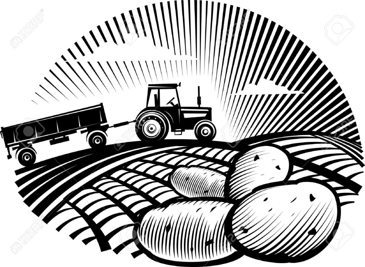 Сельское хозяйство Графика