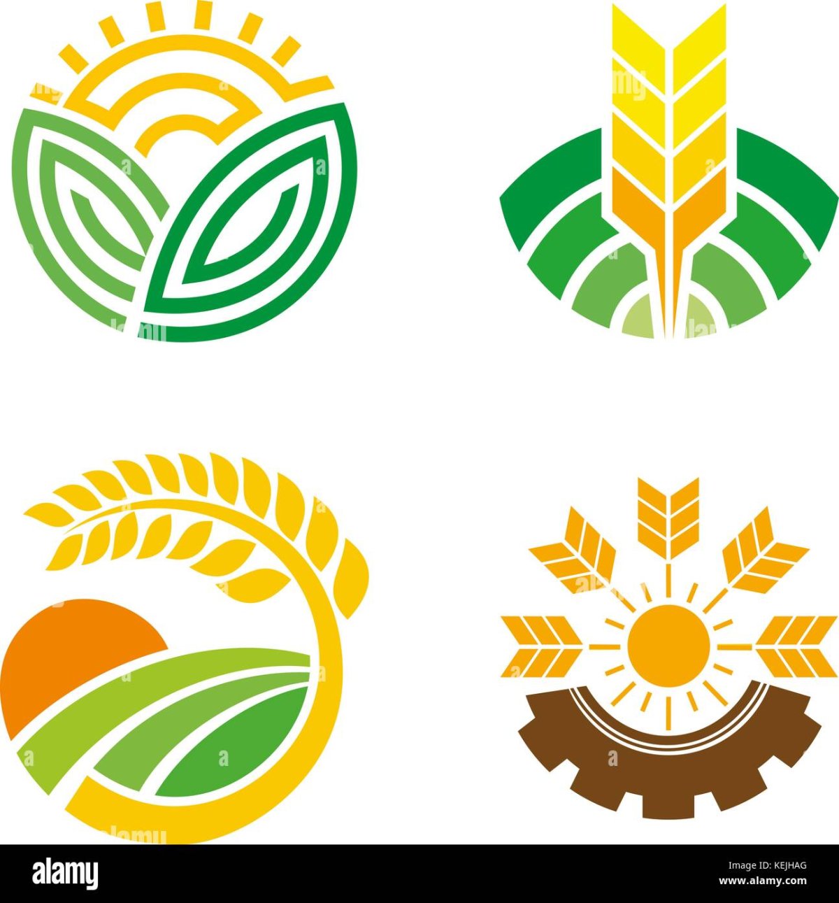 Сельское хозяйство фермерство