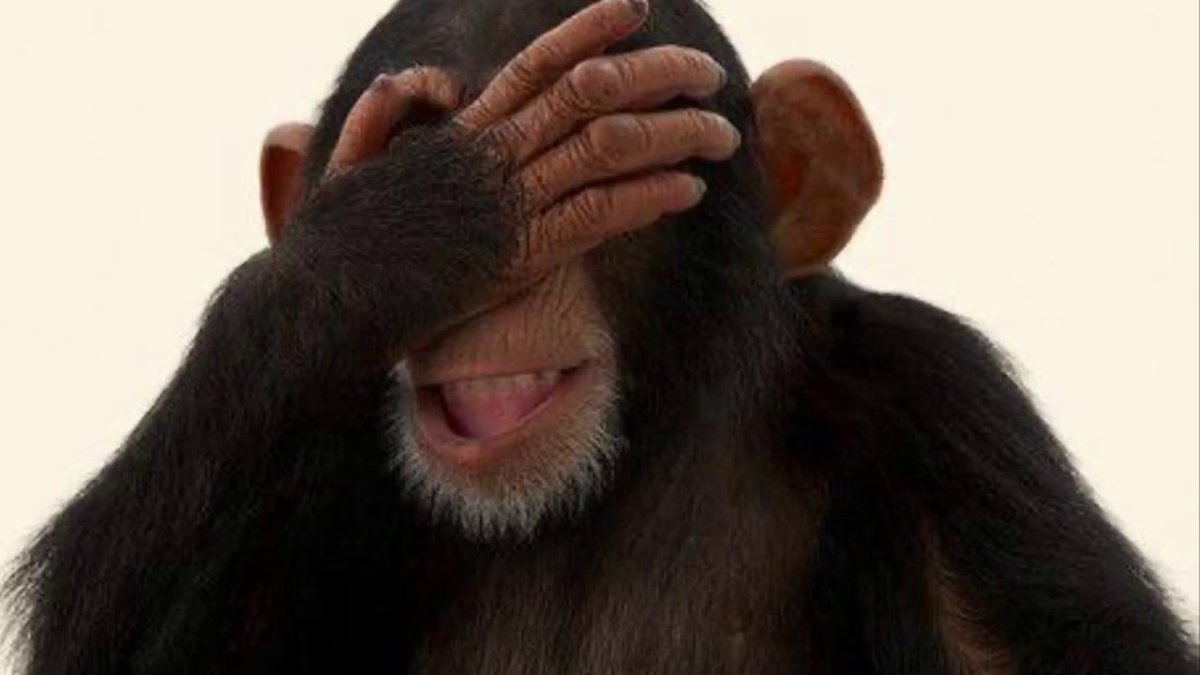 Лапа гориллы