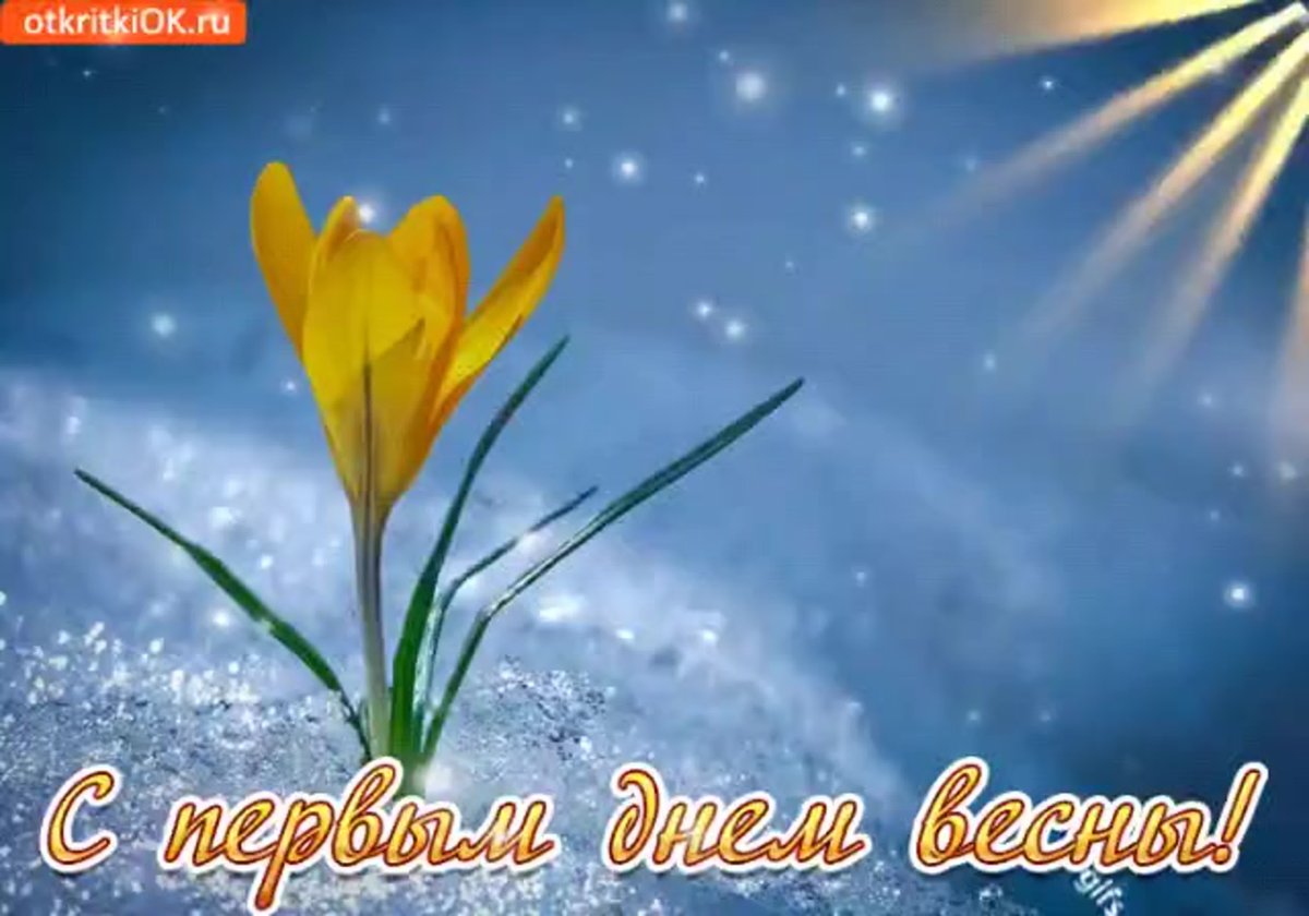 Весенние поздравления