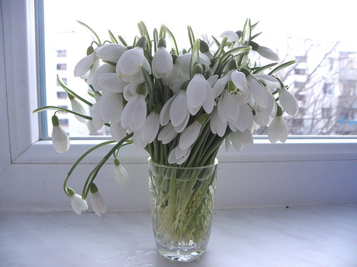 Ранняя Весна Эстетика