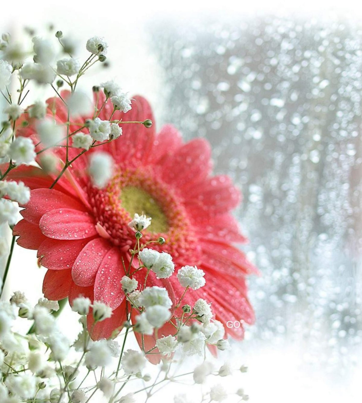 Поздравление с первым днем весны