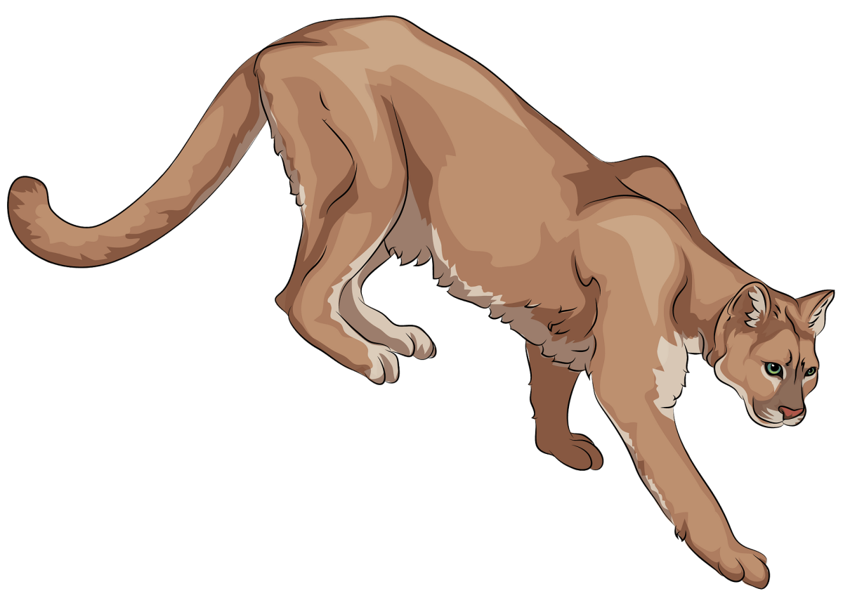 Морда львицы