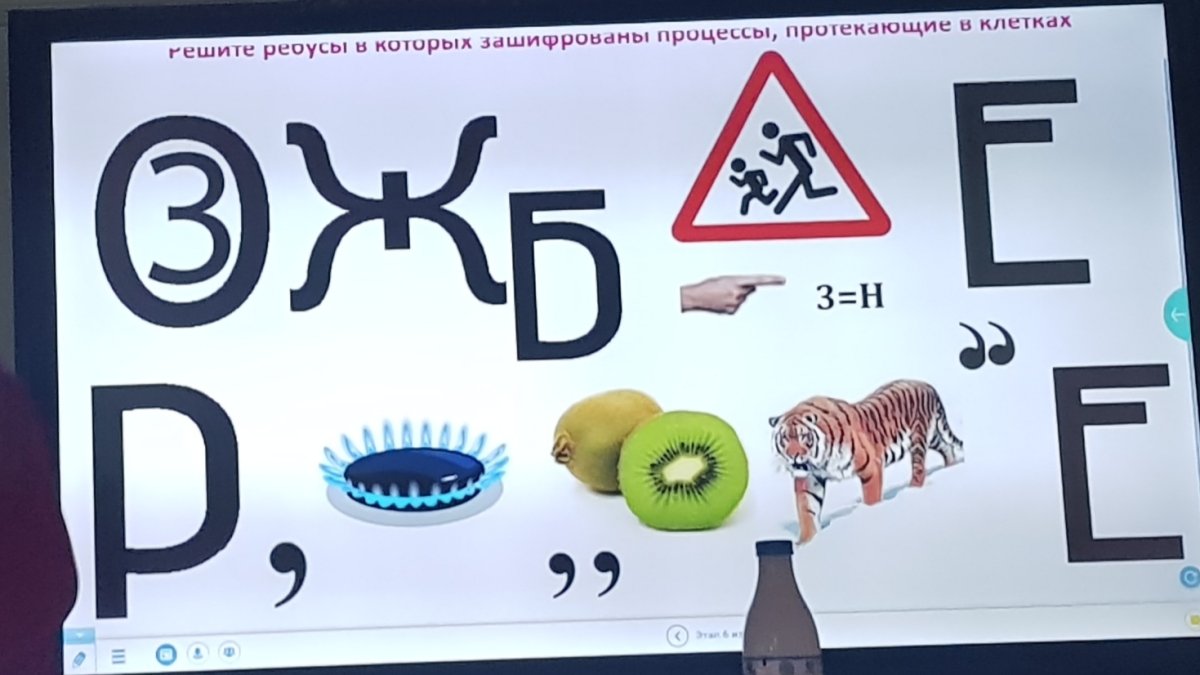 Ребусы на казахском языке