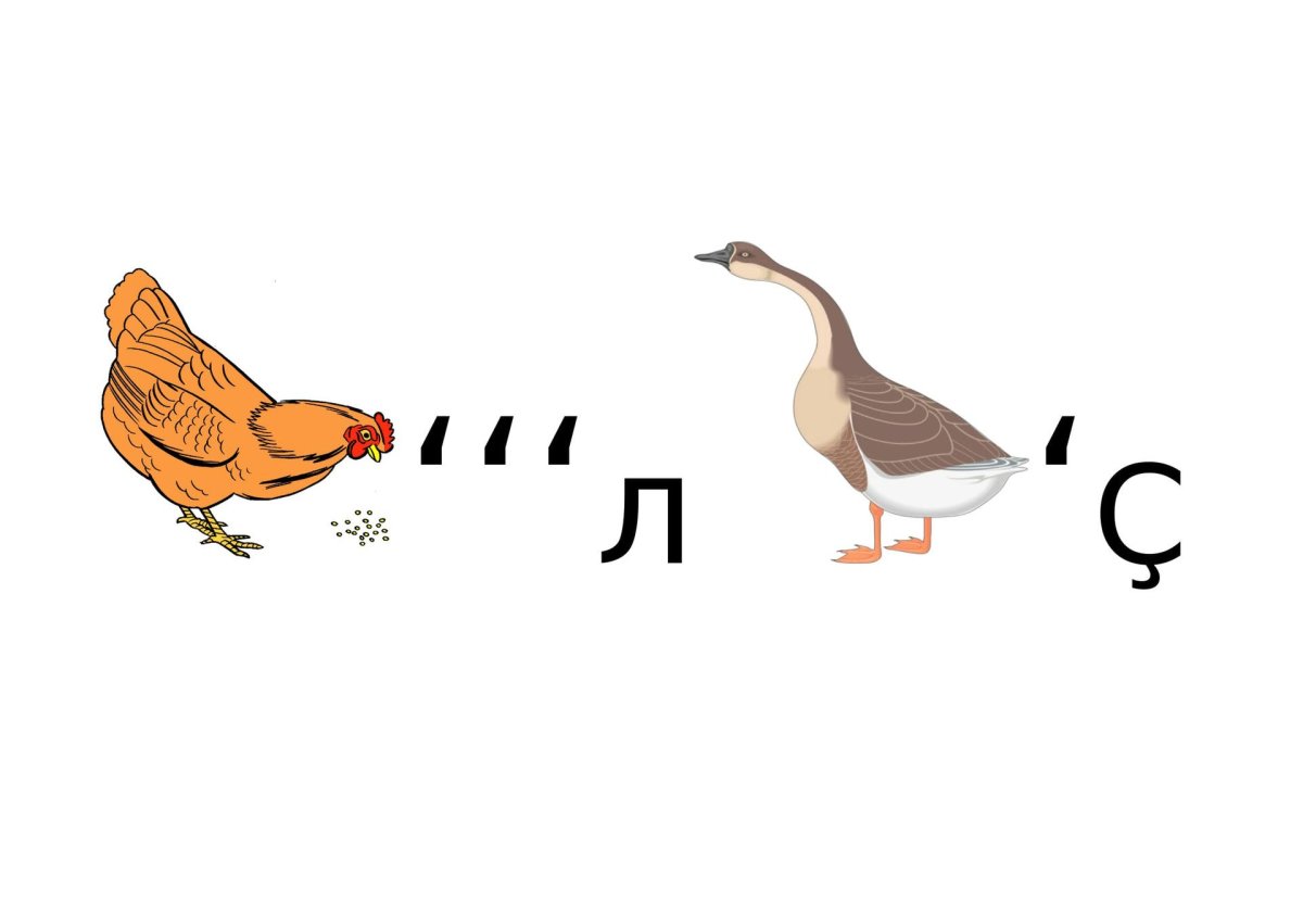 Ребусы для девочек