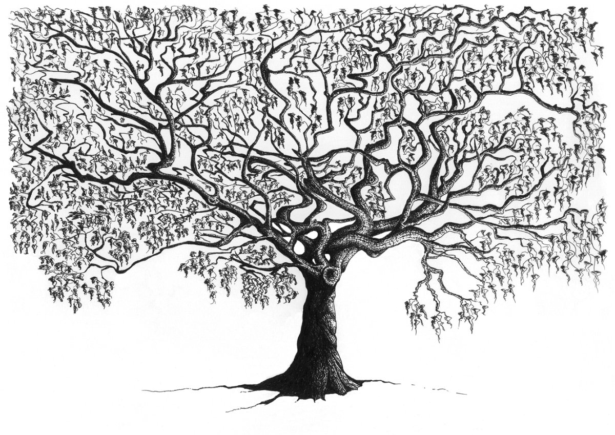 Ветвистое дерево Графика