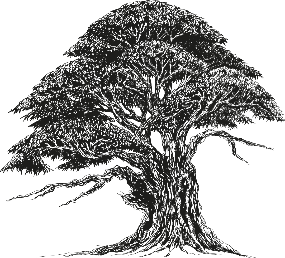 Дерево Графика