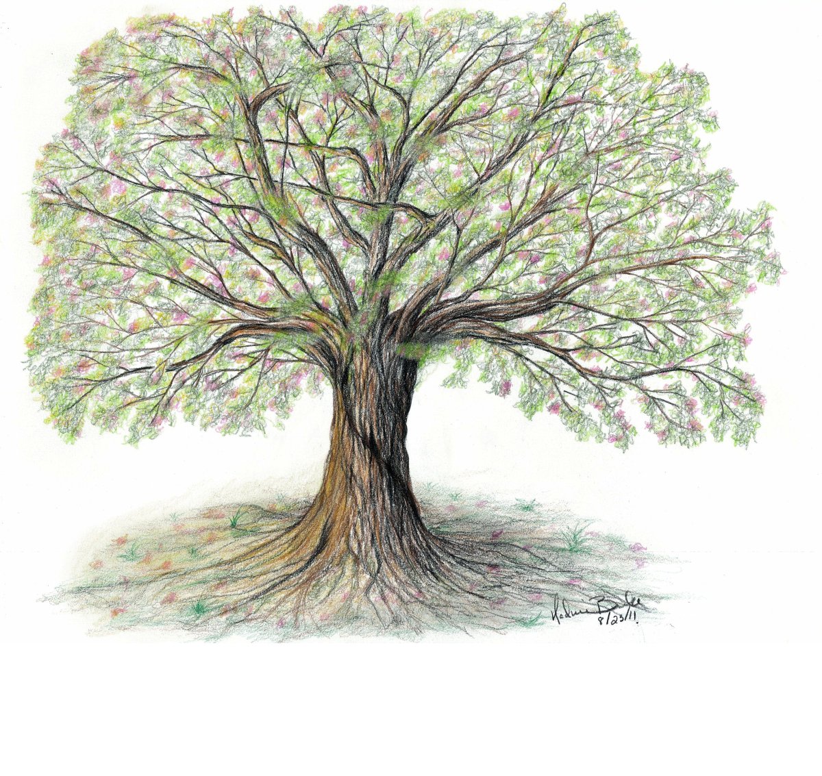 Красивое дерево цветными карандашами