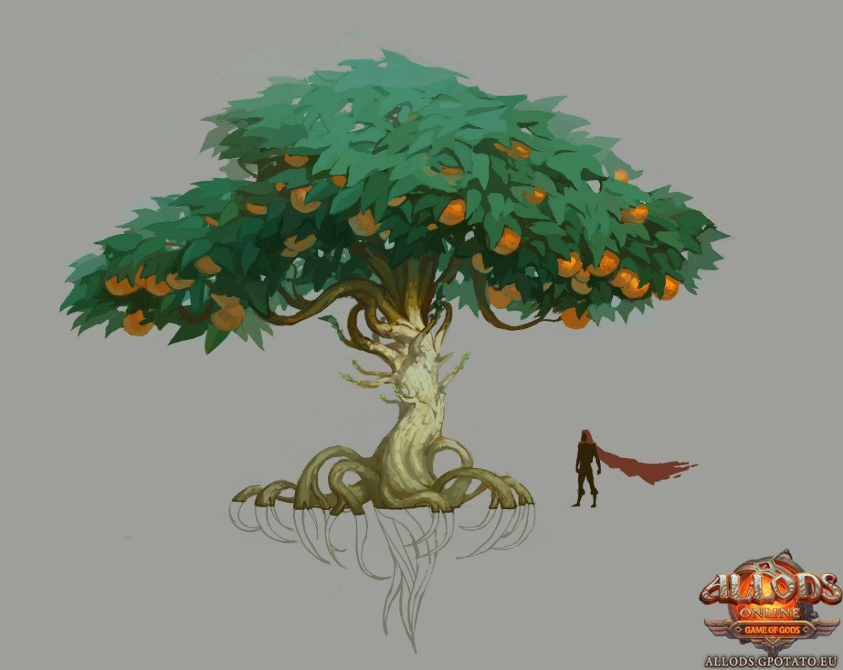 Дуб ангела Чарльстон США