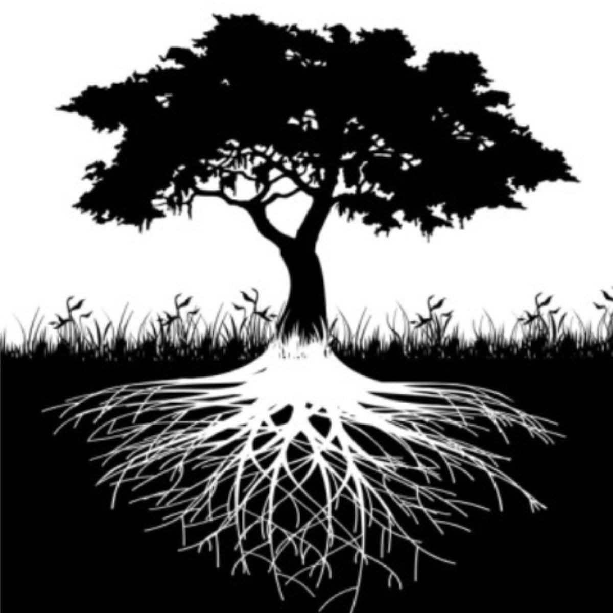 Дерево в поле