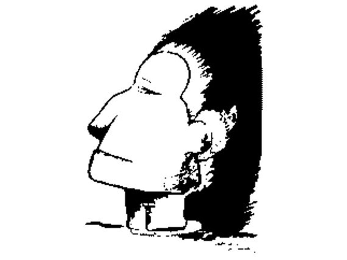 Оптические иллюзии Эскимос