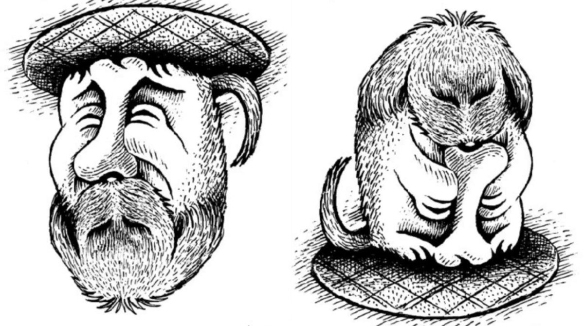 Иллюзии обман зрения перевёртыши